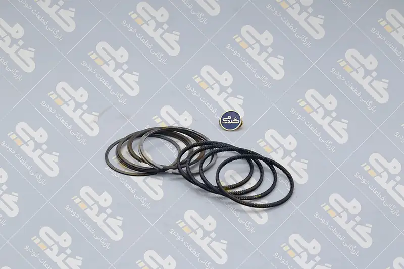 1111000010 کاسه نمد میل سوپاپ 501