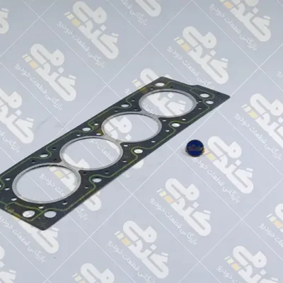 واشر سرسیلندر ORG STD ایساکو