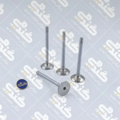 سوپاپ دود 405