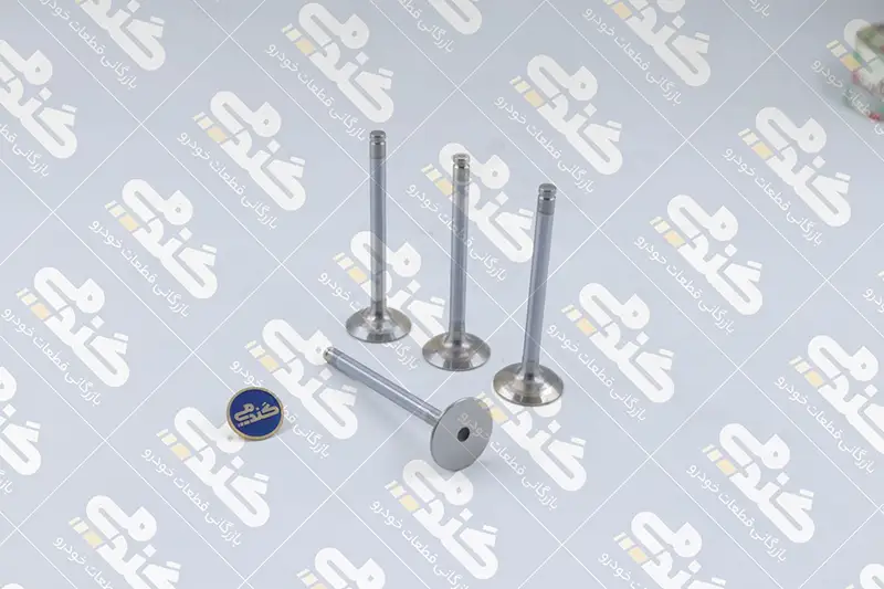 1111000793 سوپاپ دود 405