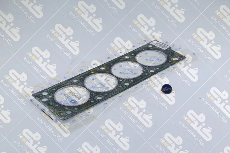 1111000989 واشر سرسیلندر 2 سوراخ STD ایساکو