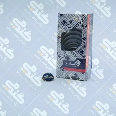 یاتاقان ثابت 0.30 عظام 405